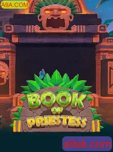 Descobrindo o Mundo de 'BookOfPriestess': Um Universo de Estratégia e Aventura