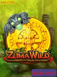 Descubra o Mundo de ZumaWild: A Nova Aventura da A9A.COM